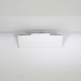 Cardboard stand 019
